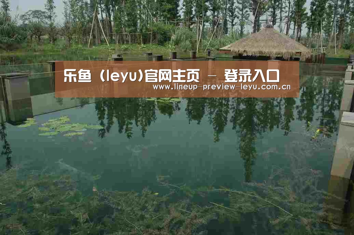 案例展示二(图1)