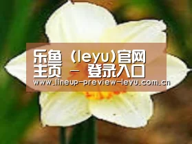 产品名称四