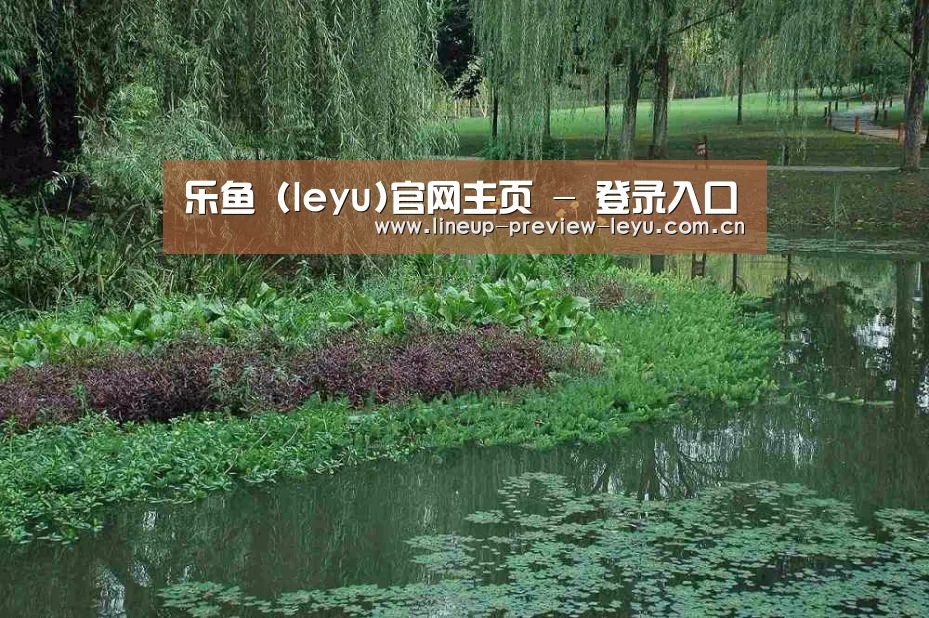 案例展示一