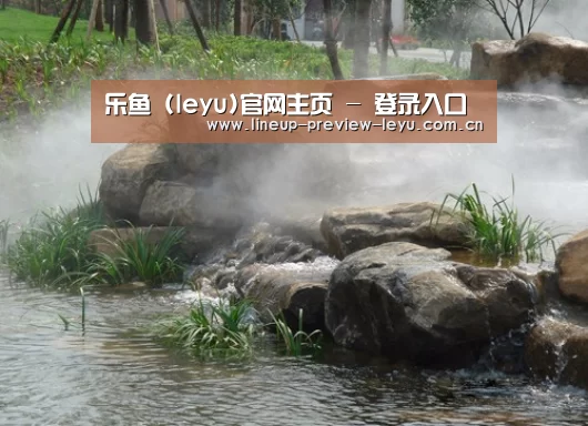案例展示五