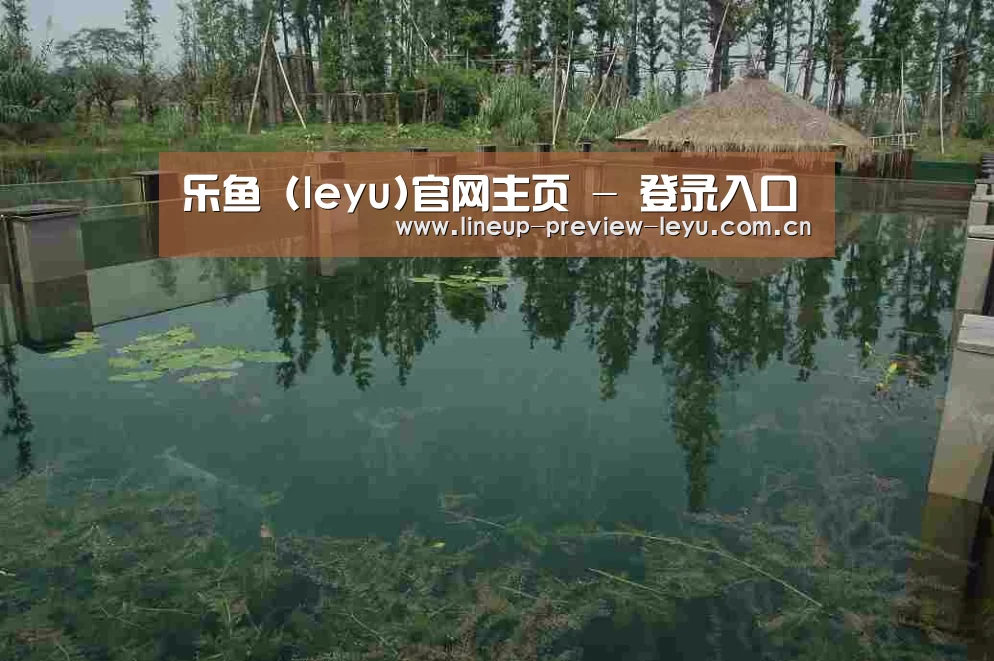 案例展示二