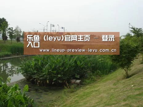 案例展示四